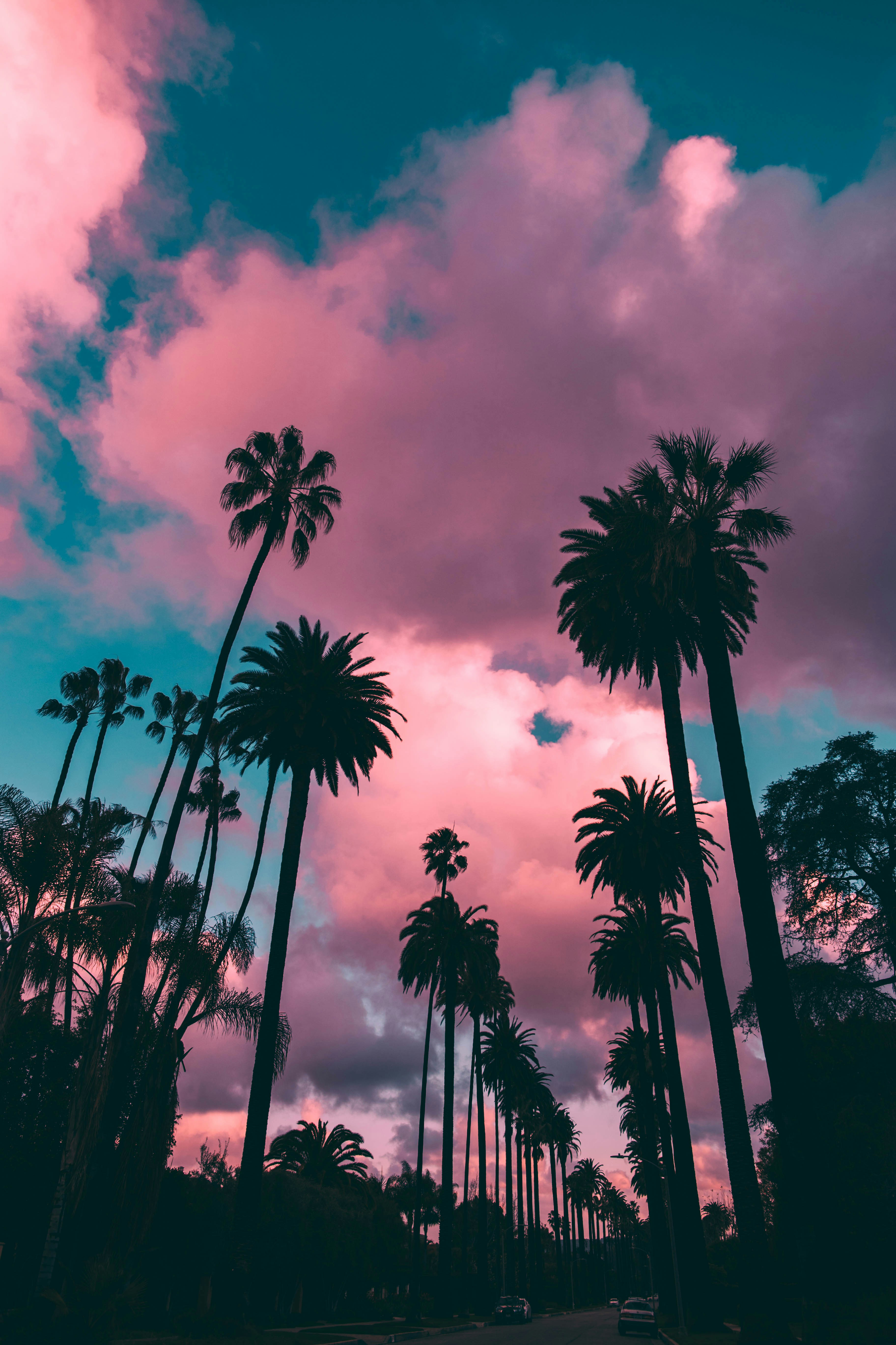 Pink and teal cotton-candy sky over a palm-lined street at sunset
